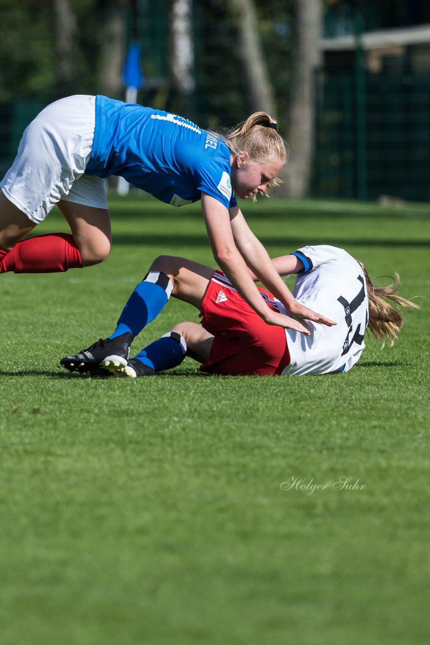 Bild 370 - wBJ Hamburger SV - Holstein Kiel : Ergebnis: 2:0